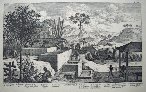 Indigoterie (Jean-Baptiste du Tertre, Hist. gén.des Antilles, 1667). Légende : 6  = réservoirs d'eau claire 7 = trempoires 8 = batterie 9 = reposoirs 